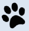 Paw Print